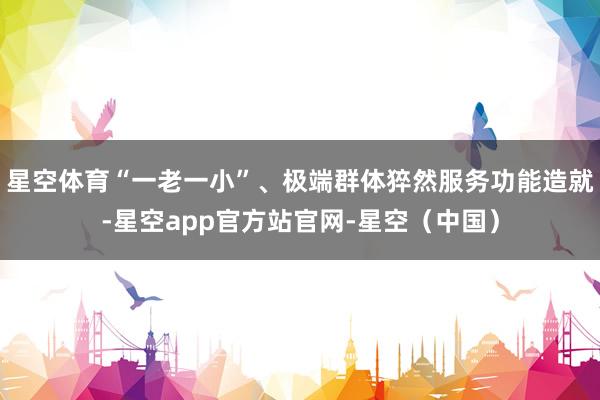 星空体育“一老一小”、极端群体猝然服务功能造就-星空app官方站官网-星空（中国）